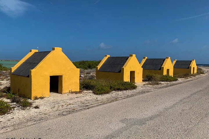 North and South Tour + Beach Time with a Local Native Guide