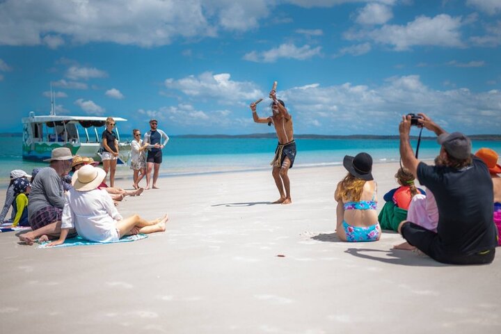 Turtle Discovery & Great Sandy Marine Park Adventure