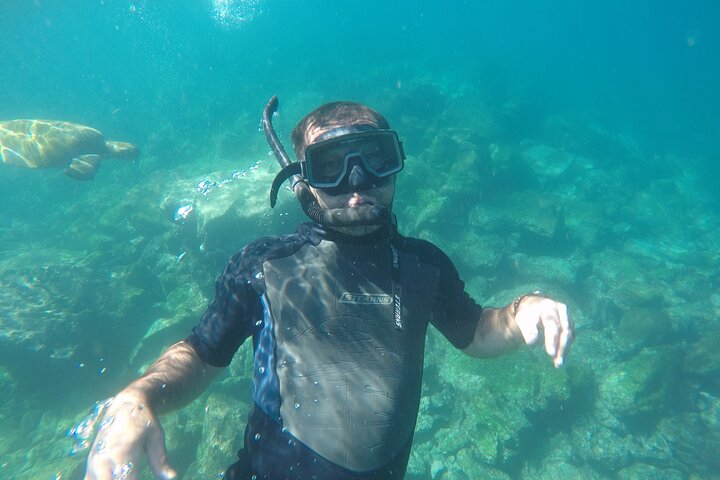 Tour to Tuneles & Cabo Rosa (Isabela Island)
