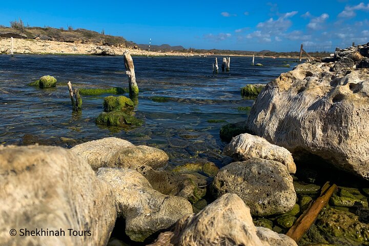 Washington Park Tour with Local Guide on Bonaire