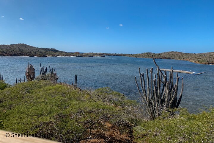 Washington Park Tour with Local Guide on Bonaire