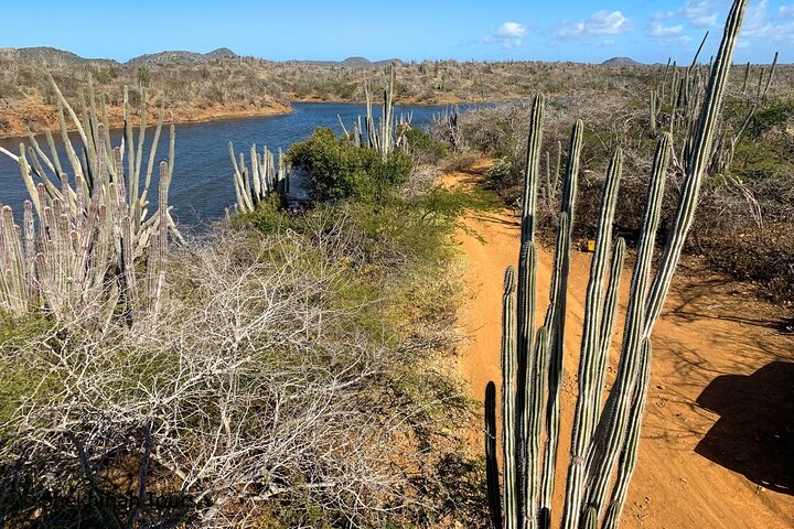 Washington Park Tour with Local Guide on Bonaire