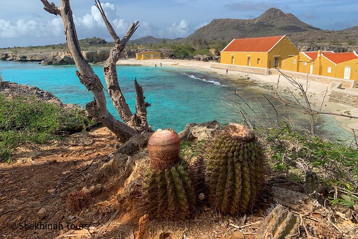 Washington Park Tour with Local Guide on Bonaire