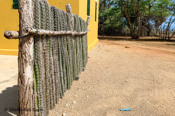 Washington Park Tour with Local Guide on Bonaire