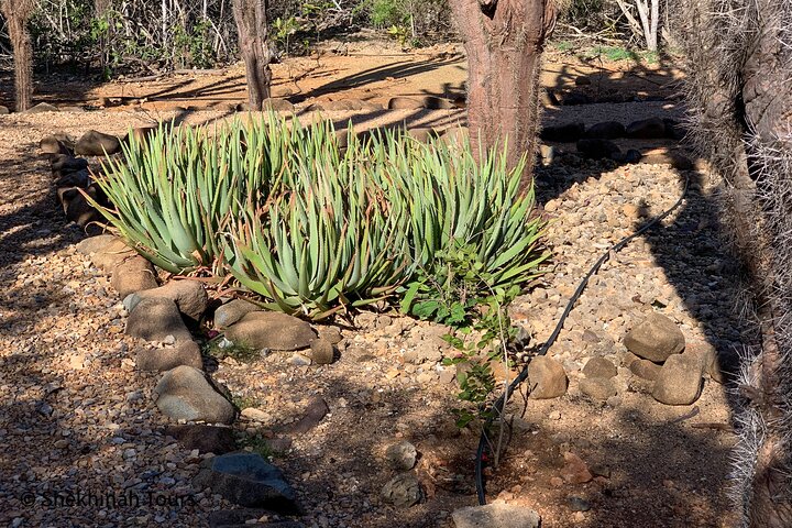 Washington Park Tour with Local Guide on Bonaire