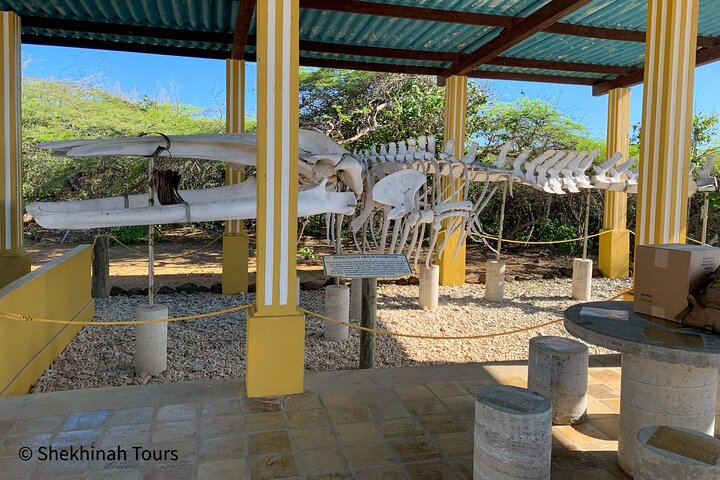 Washington Park Tour with Local Guide on Bonaire