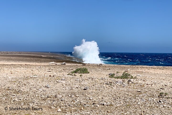 Washington Park Tour with Local Guide on Bonaire