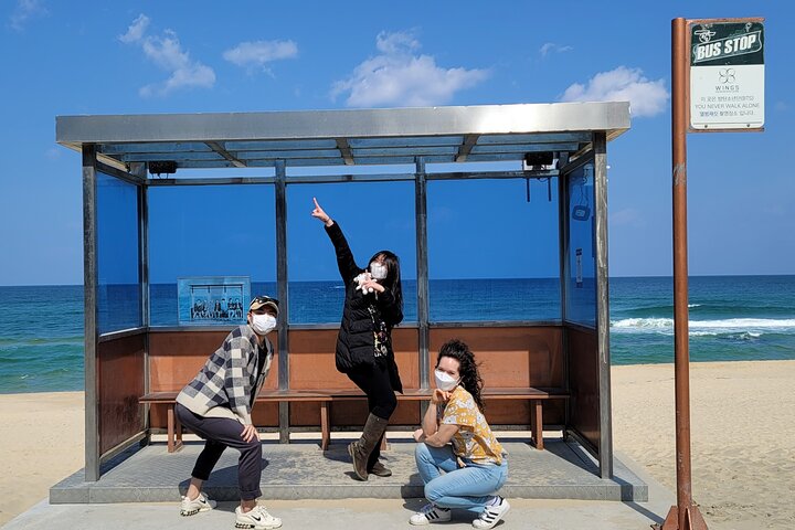 Half-Day Self-Guided Tour of Gangneung with Driver