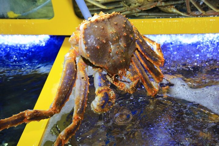 3-Hour Self-guided Sokcho Tour with Private Transportation