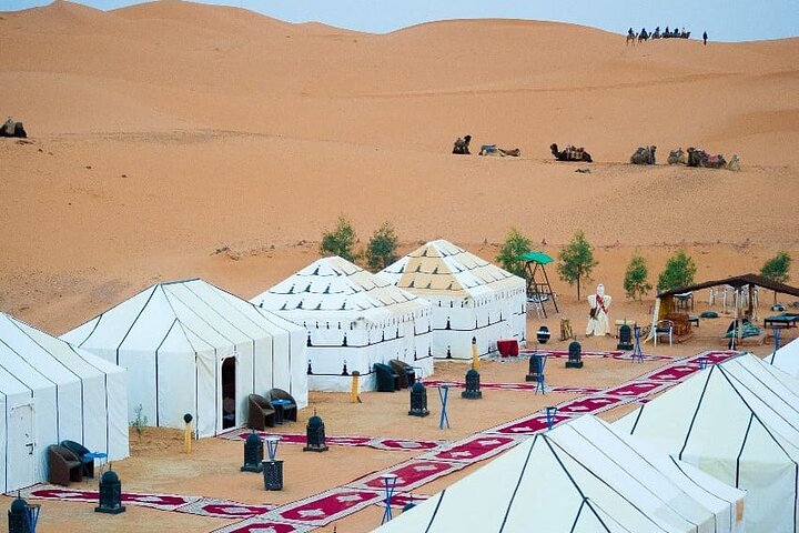 Luxury 2-Days Desert Trip from Fes to.:( fes or marakech)