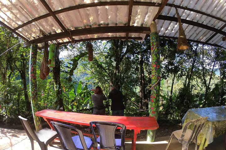 Private Tour Anchicayá Sighting + Sabila Farm
