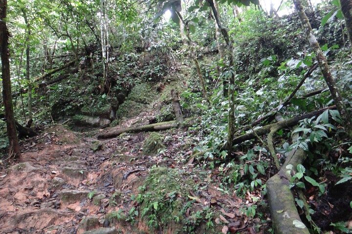 Cave Of The Tayos | Speleology | Mysterious Caverns | Light Wells | Puyo