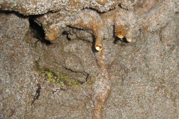 Cave Of The Tayos | Speleology | Mysterious Caverns | Light Wells | Puyo