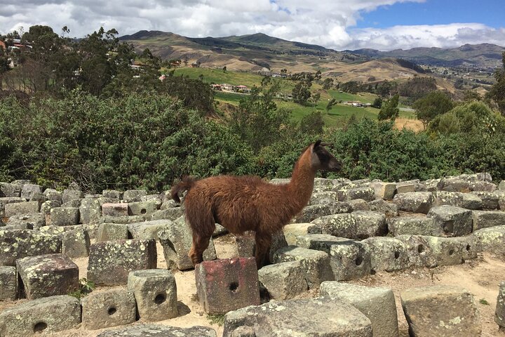Ingapirca Ruins & Inca mountain face tour from Cuenca with Small Group