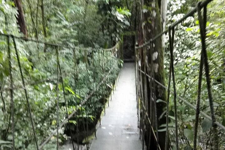 Private Transfer from Panama City or Airport to Anton Valley
