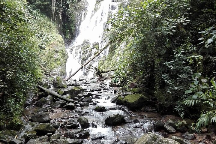 Private Transfer from Panama City or Airport to Anton Valley