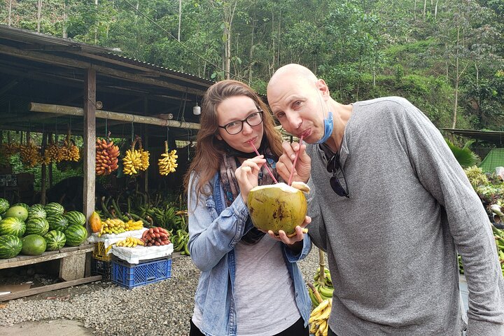 Cuenca to Guayaquil one-way tour with Cajas Park and a Cacao Farm visit