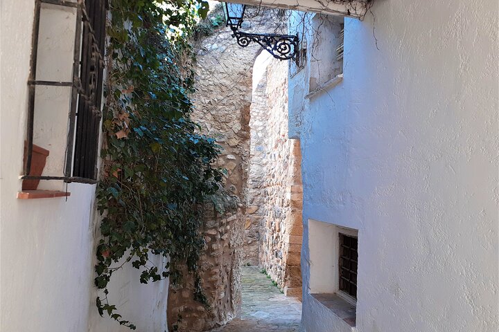 Antequera private walking tour by Tours in Malaga