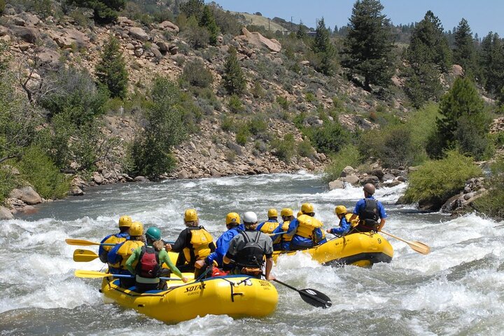 Browns Canyon Half-Day Whitewater Rafting Tour from Buena Vista