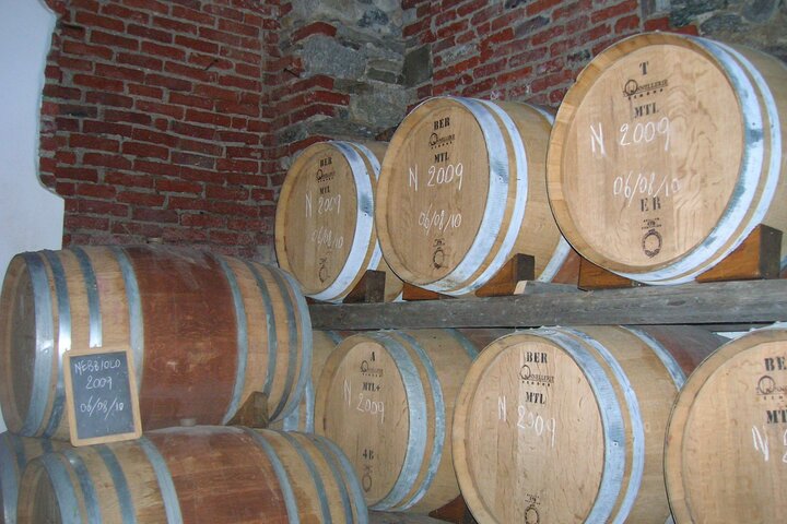 Visit and tasting of 4 D.O.C.wines Fontechiara