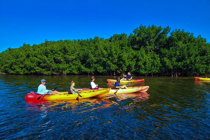 Mangrove Tunnel & Manatee Kayak Eco-Tour