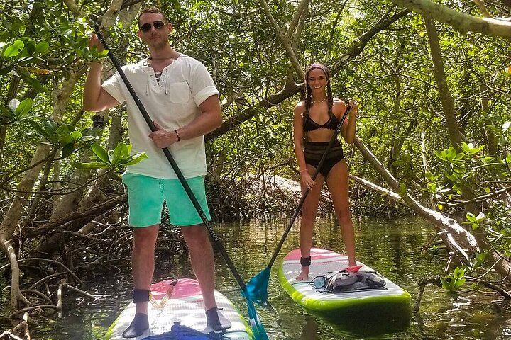 Mangrove Tunnel & Manatee Kayak Eco-Tour