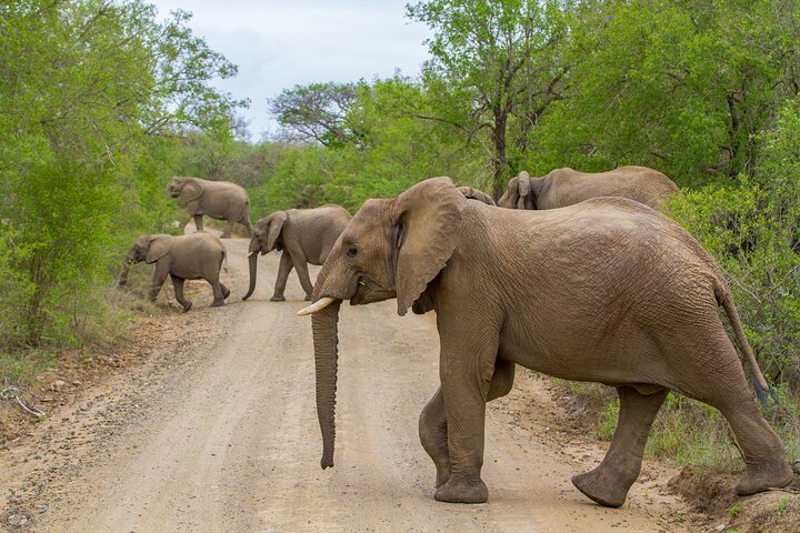 iSimangaliso Sunset Game Drive