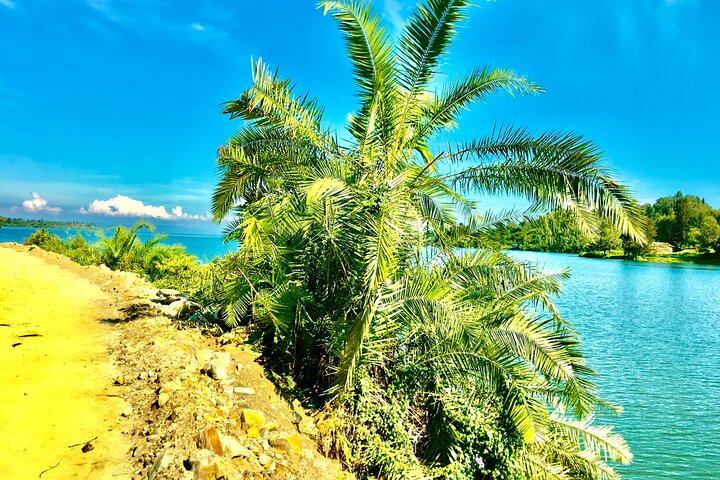City tours&village walk&hot-spring bathing