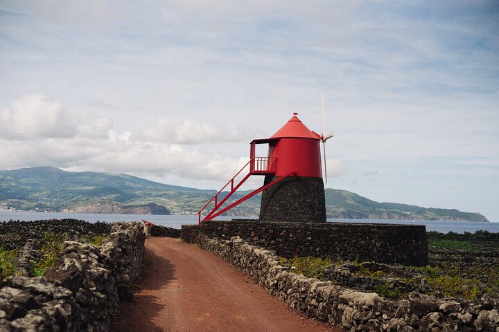 Full-Day Pico Island Tour from Horta