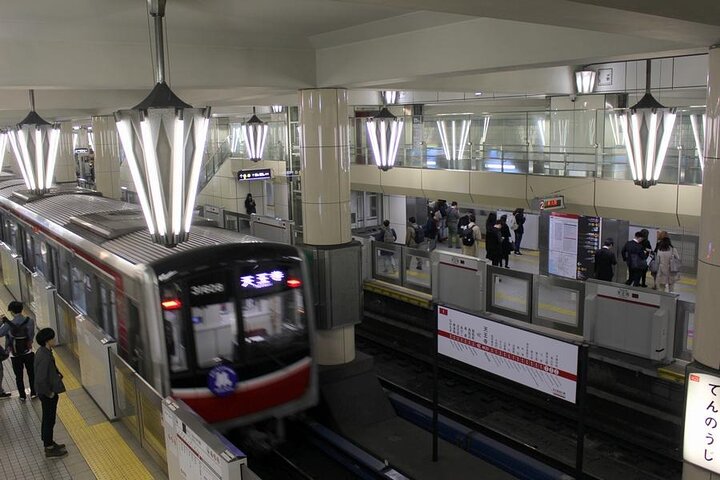 Kansai (KIX) Layover tour Sightseeing & tasting in Osaka by train