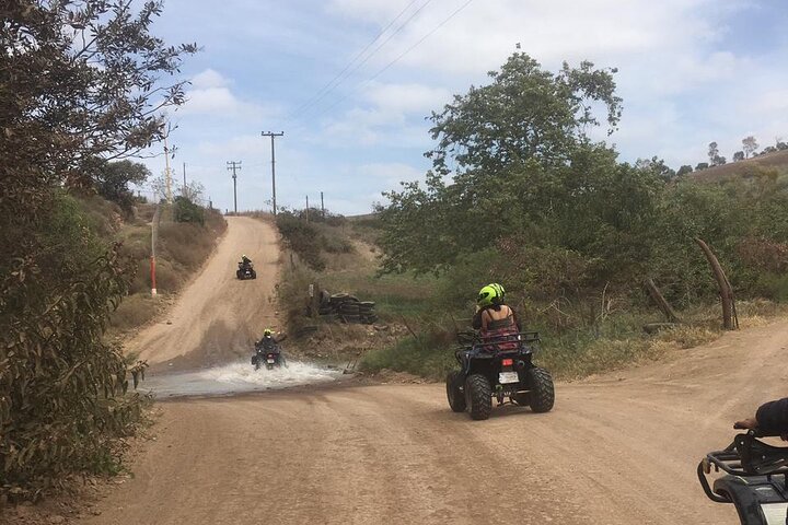 Rosarito/Paintball/Mountain Horses + Transportation