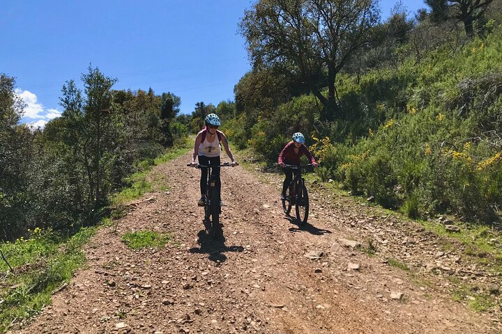 Mountain bike tour of the Madonie from Cefalù