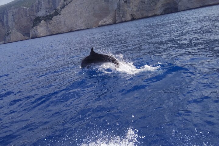 Zakynthos All Day Tour Shipwreck beach, view point-Blue Caves