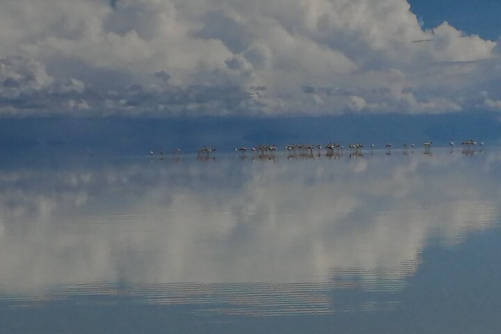 Uyuni Salt Flat 1 Day Tour +Sunset in the Salt Water Region with Mirror Effect