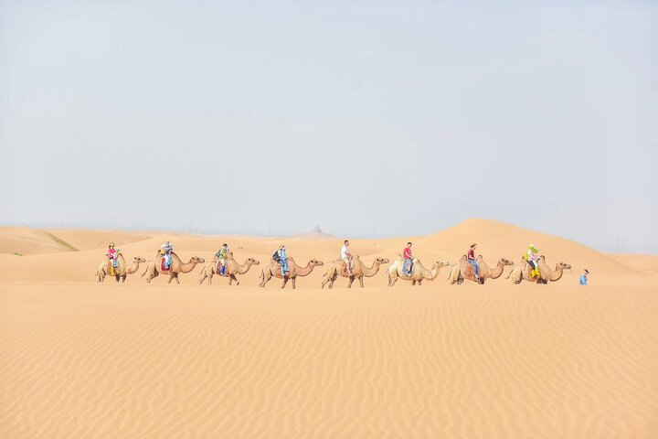 Private Day Tour to Kubuqi Desert from Hohhot with Pick Up