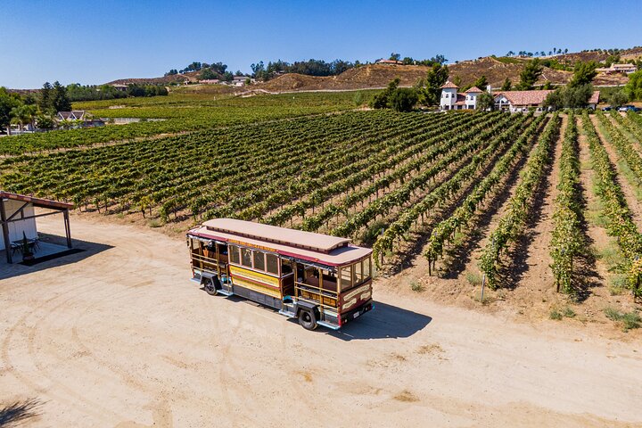 All-Inclusive Social Wine Tour
