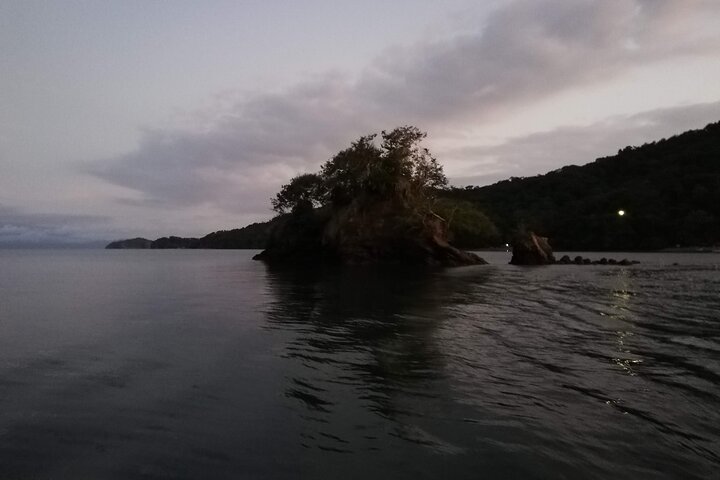 Sunset Bioluminescence Tour by Boat