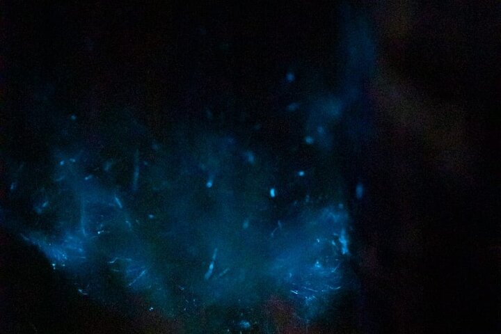 Sunset Bioluminescence Tour by Boat