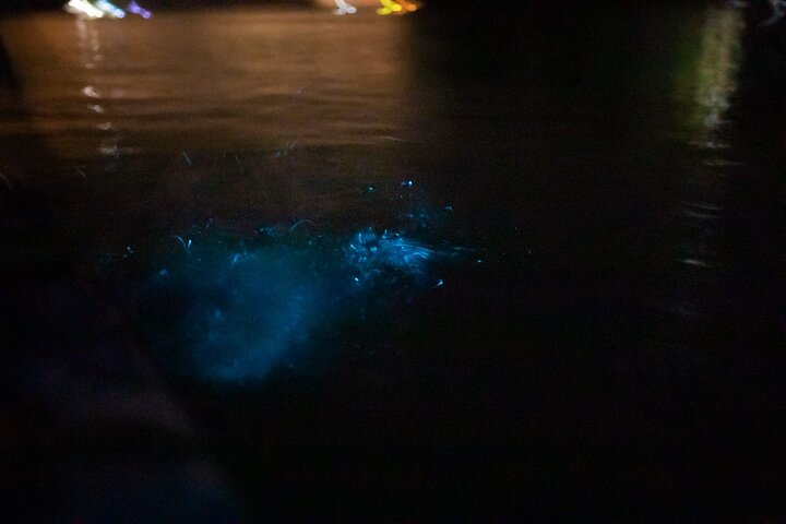 Sunset Bioluminescence Tour by Boat