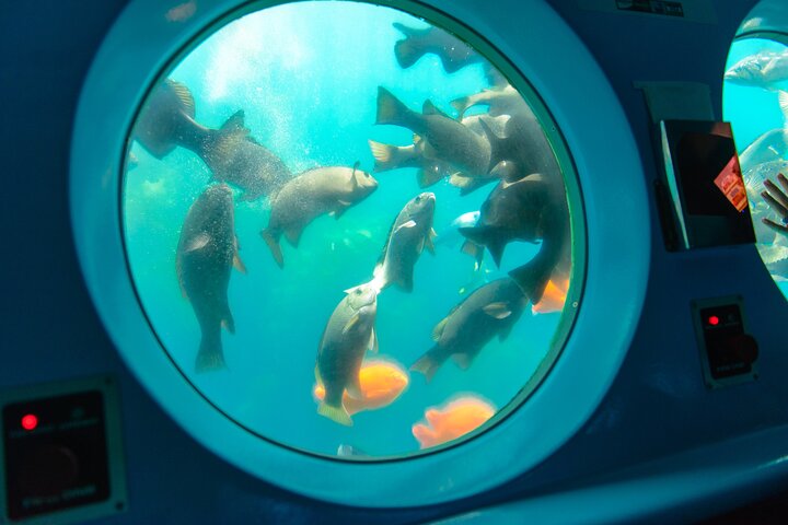 Yellow Semi-Submarine Tour of Catalina Island From Avalon