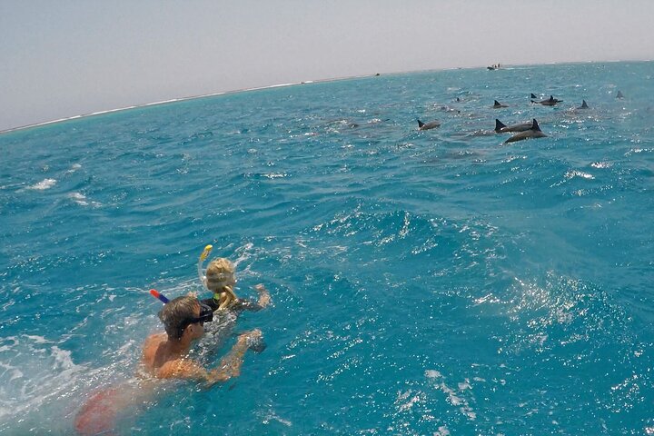 Sataya Dolphin House Snorkel Trip - Marsa Alam