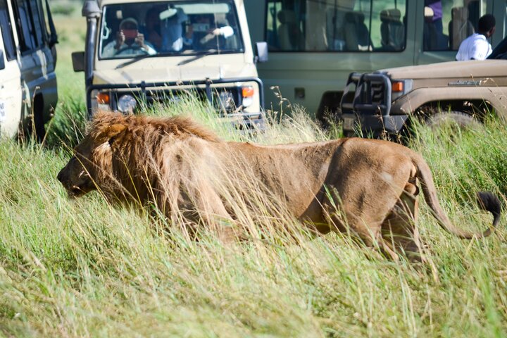 4 Days Tarangire ,Serengeti &Ngorongoro crater group Tour