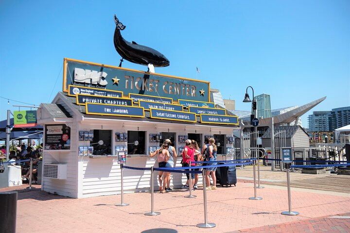 City Cruises Boston Whale Watching Cruise by High-Speed Boat