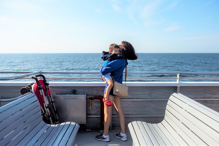 City Cruises Boston Whale Watching Cruise by High-Speed Boat