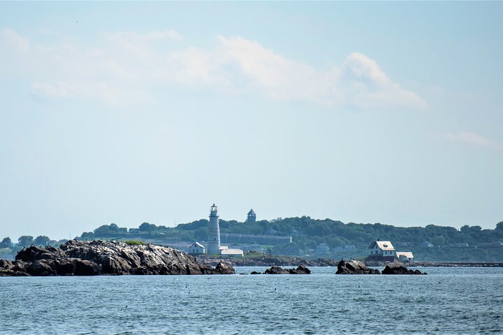 City Cruises Boston Whale Watching Cruise by High-Speed Boat