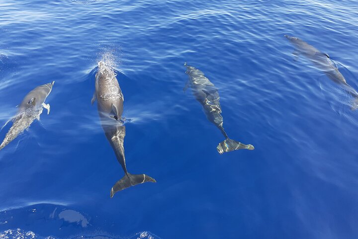 4h - Extended Private Sailing Tour around the Lobos Island