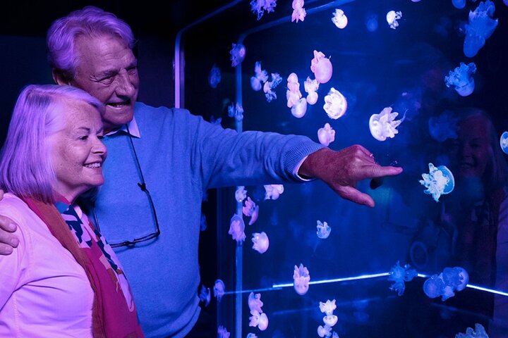 SEA LIFE New Jersey Admission Tickets at American Dream