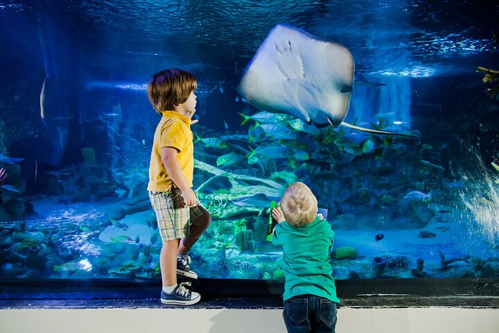 SEA LIFE New Jersey Admission Tickets at American Dream