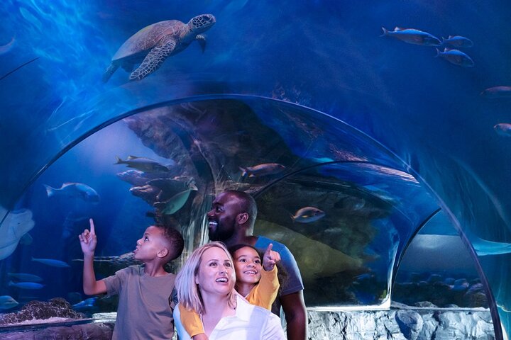 SEA LIFE New Jersey Admission Tickets at American Dream