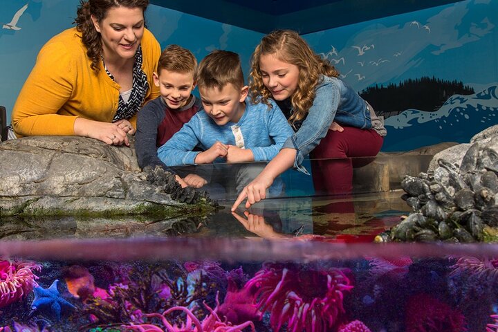 SEA LIFE New Jersey Admission Tickets at American Dream